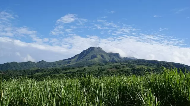 Mont pelee volcan