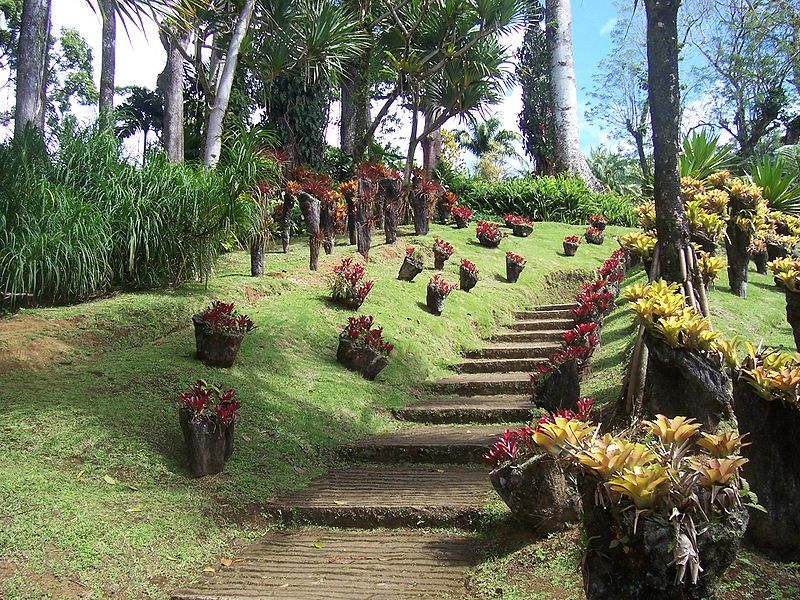 jardin de balata martinique
